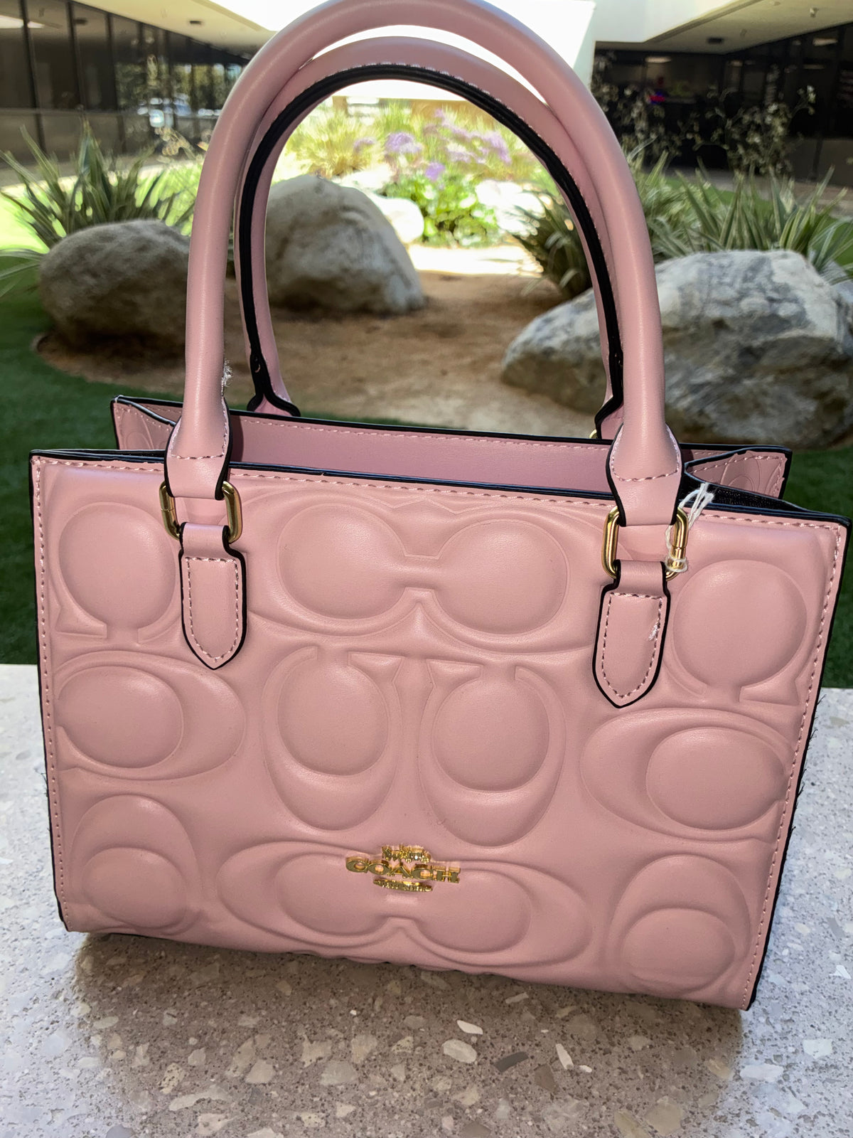 COACH Maggie Small Tote Bag