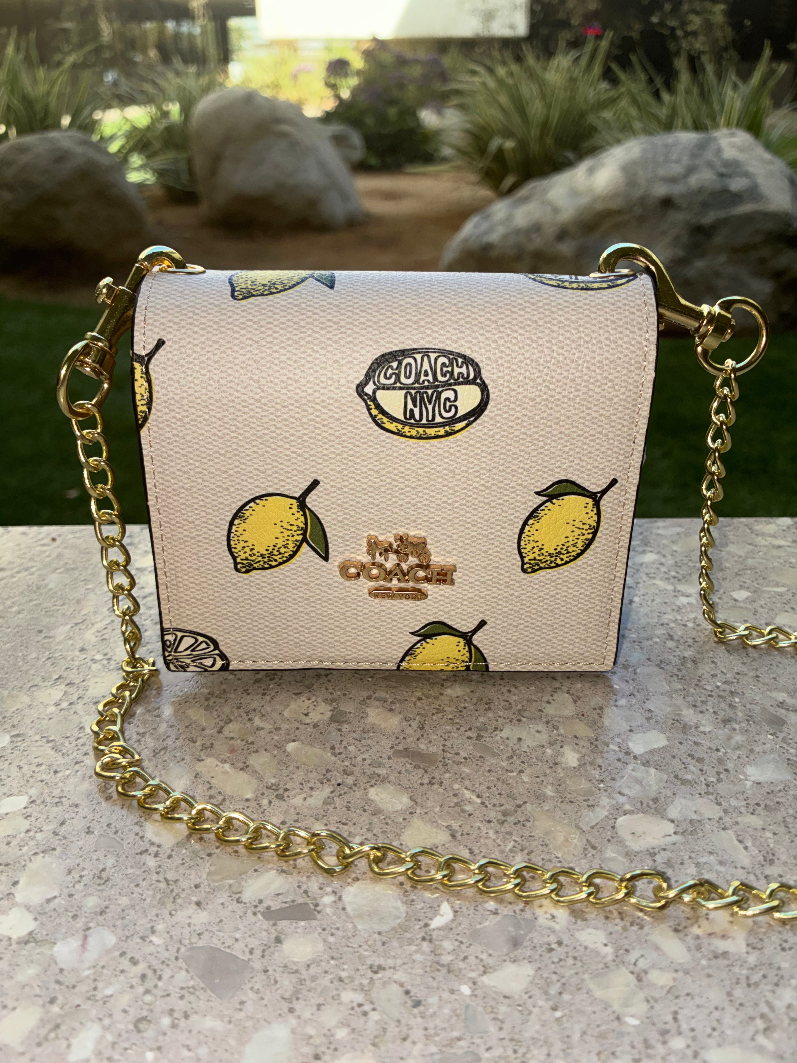 COACH Mini Wallet On A Chain