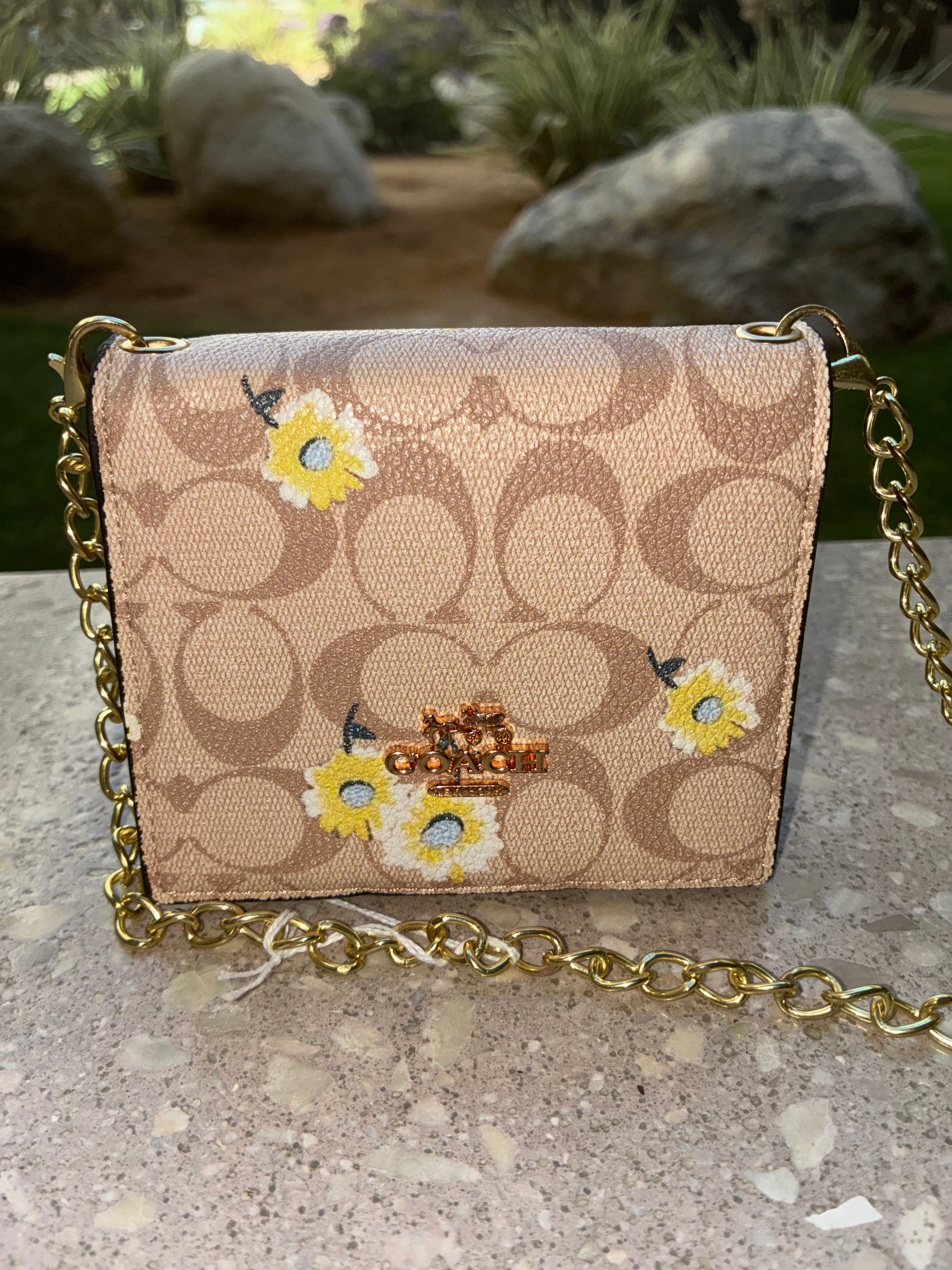 COACHMini Wallet On A Chain