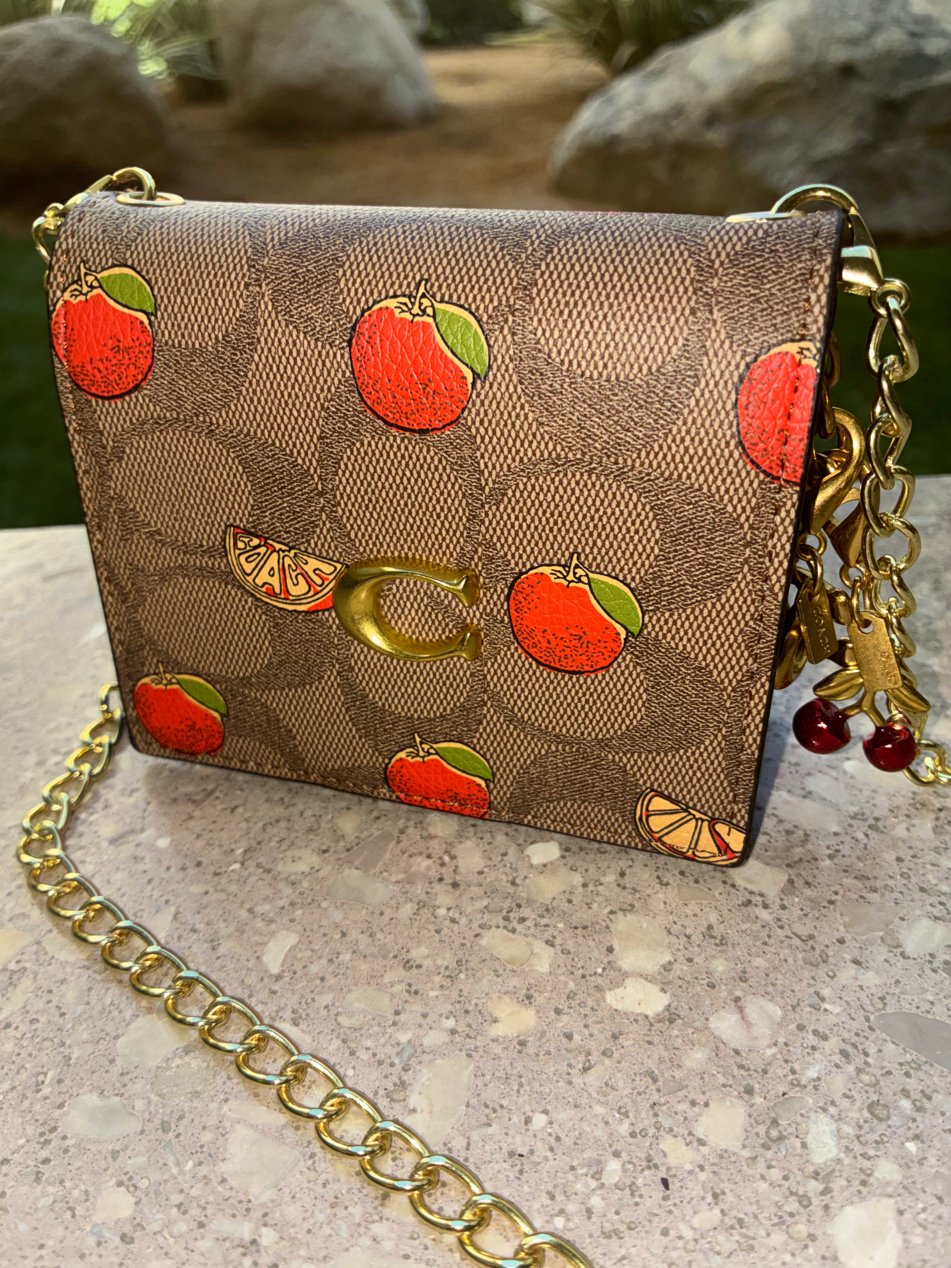 COACH Mini Wallet On A Chain