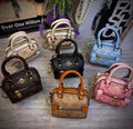 Mini Coach Bag