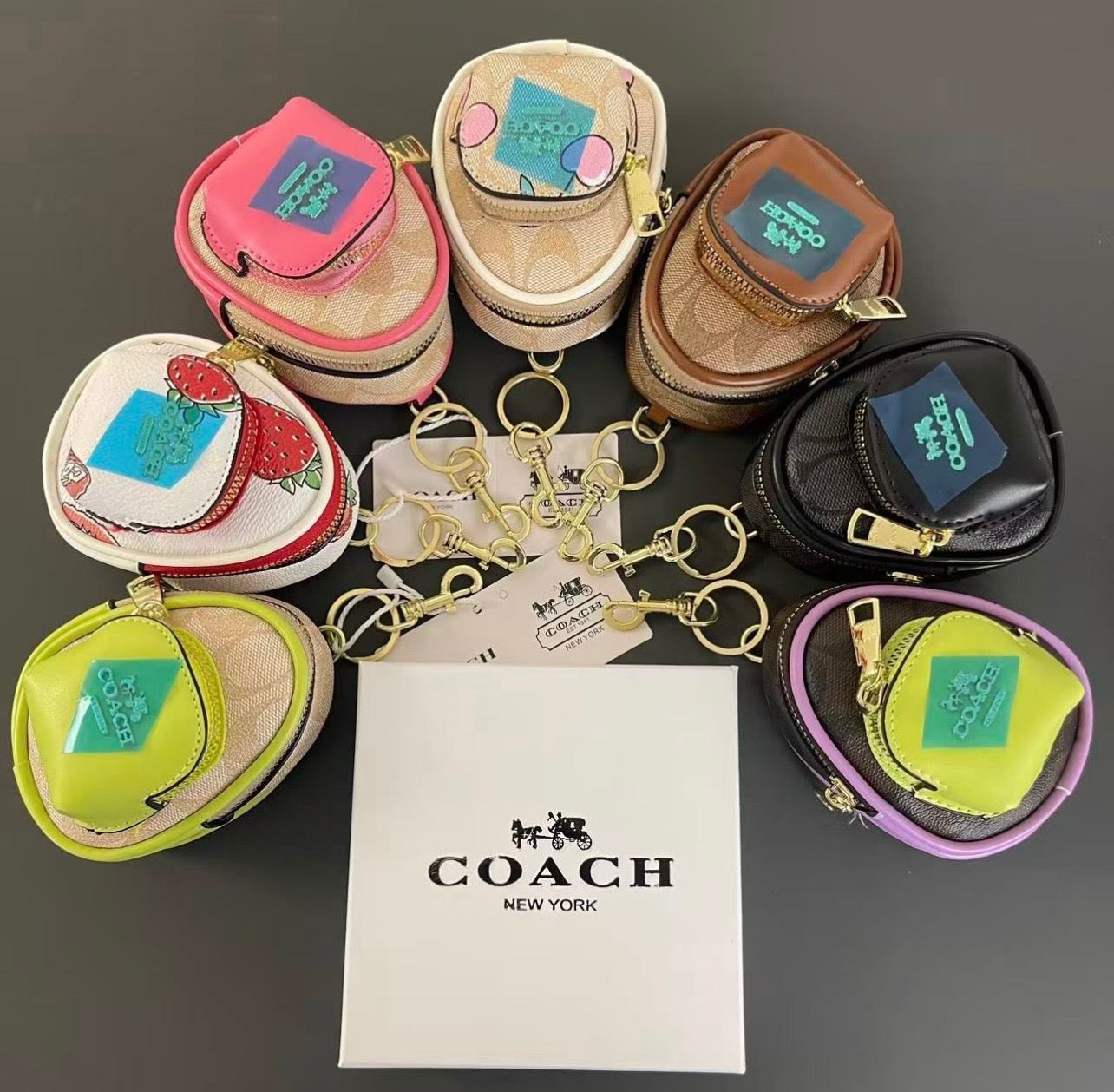 Mini Coach Bag pack